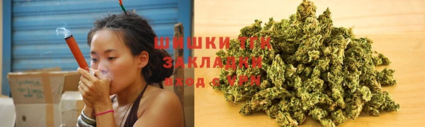 MESCALINE Аркадак