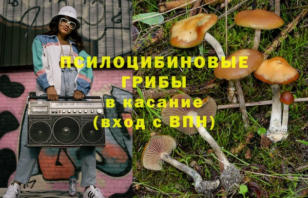 стаф Баксан