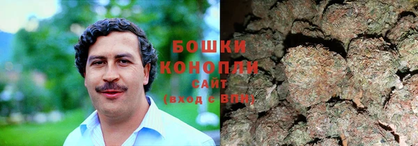MESCALINE Аркадак