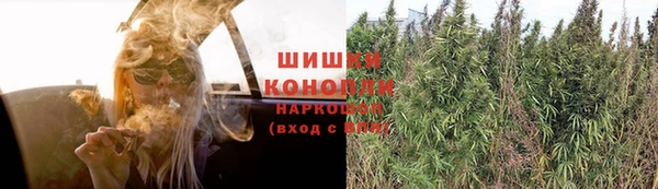 MESCALINE Аркадак