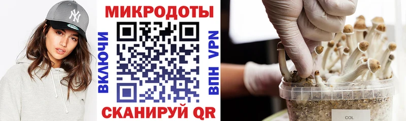 МЕГА маркетплейс  Бакал  Галлюциногенные грибы ЛСД 